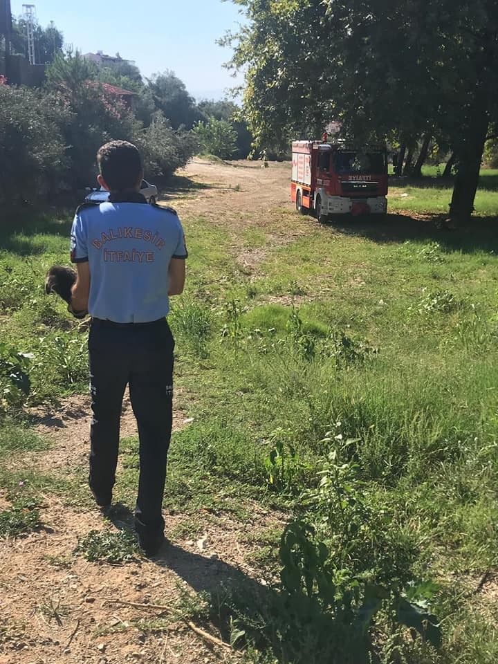 Sulama Kanalına Düşen Yavru Köpekleri İtfaiye Kurtardı