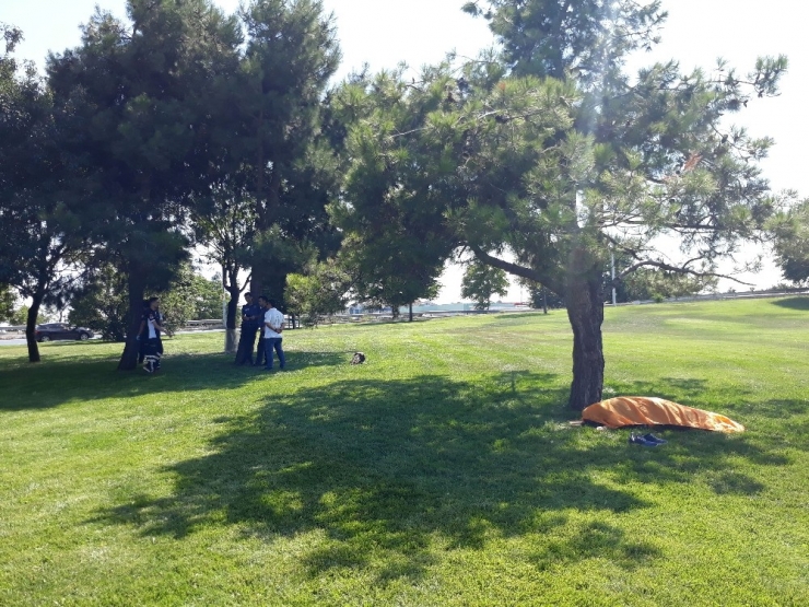 Peyzaj Çalışması Yapan İşçiler Ceset Buldu