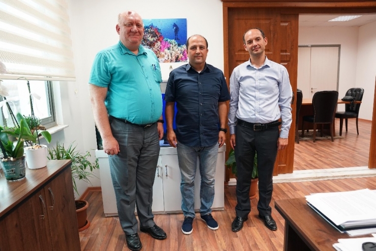 Norveç Somonuna Alternatif Karadeniz Alabalığı