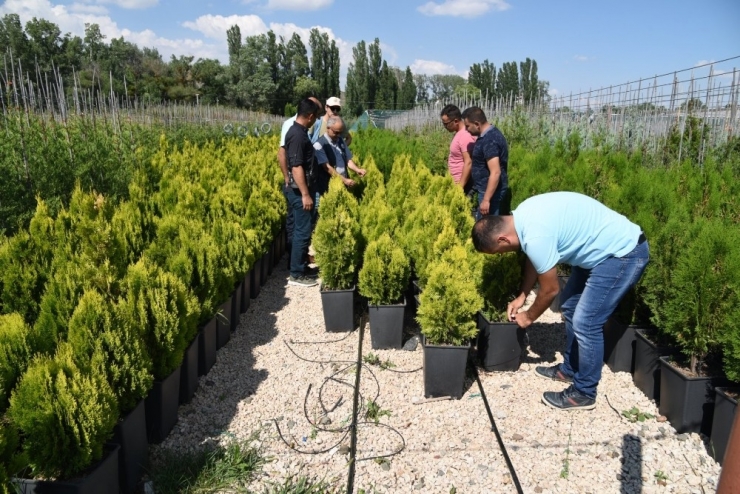Eskişehir Orman Fidanlığı’nda Otomatik Sulama Sistemine Geçildi