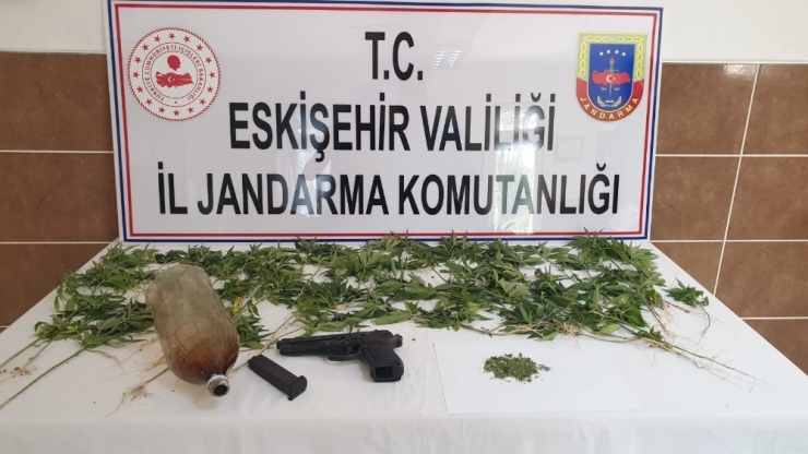 Uyuşturucu Çiftçileri Yakalandı
