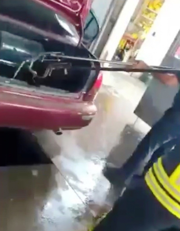 Otomobilin Bagajından Yılan Çıktı