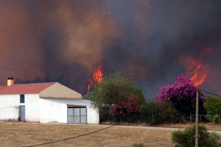 Portekiz’de Orman Yangınları Kontrol Altına Alındı