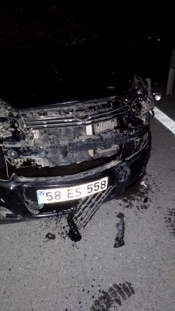 Otomobilin Çarptığı Manda Telef Oldu