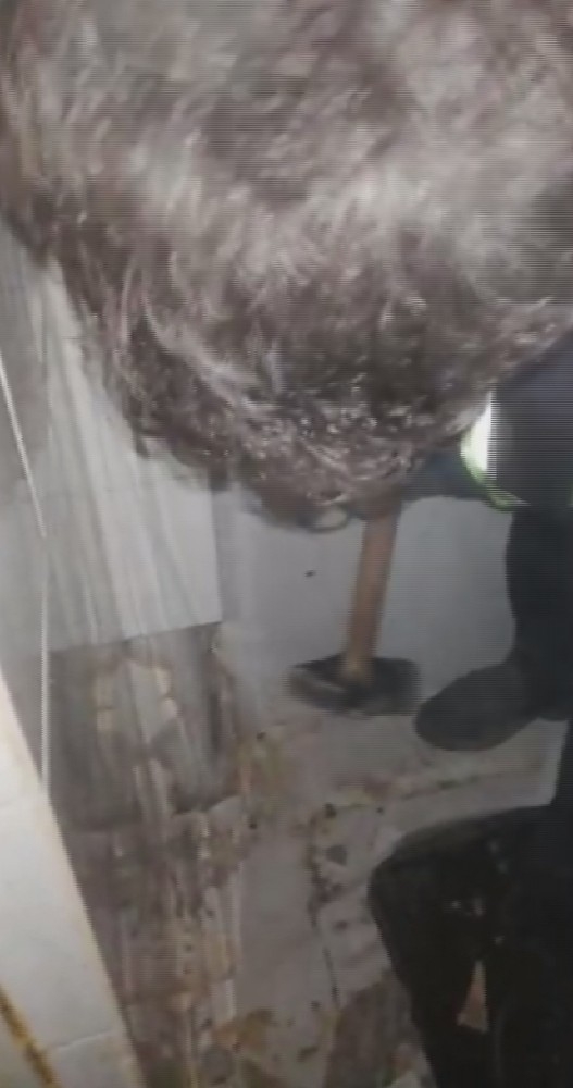 Mahsur Kalan Yavru Kedi, İtfaiyenin Operasyonuyla Kurtarıldı