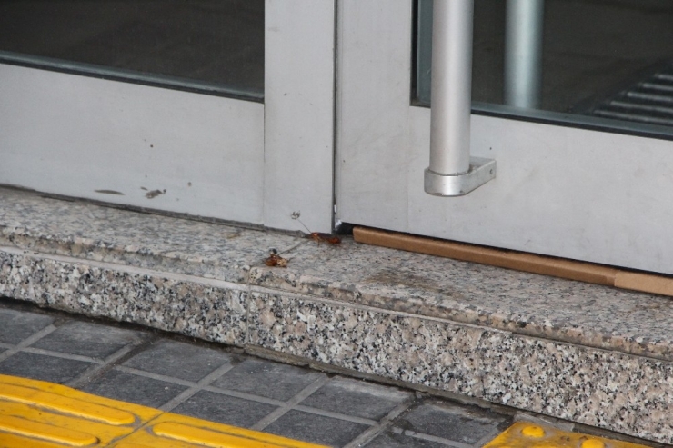 Trabzon’un En İşlek Caddesini ’Kakalaklar’ Bastı