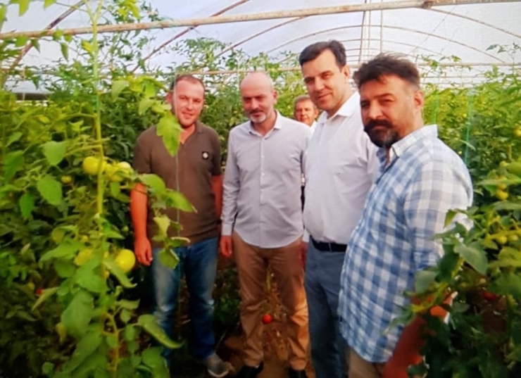 Seracılığa Rağbet Artıyor