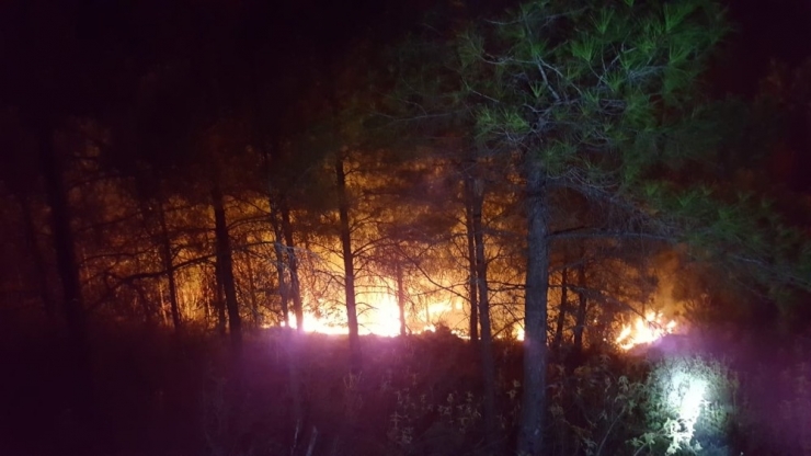 Manavgat’ta Çıkan İki Ayrı Yangında, 2 Hektarlık Alan Zarar Gördü