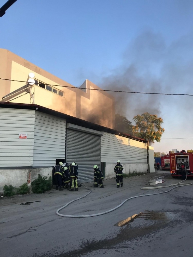 Yanan İş Yerinde Mahsur Kalan Köpek Kepenkler Kesilerek Kurtarıldı