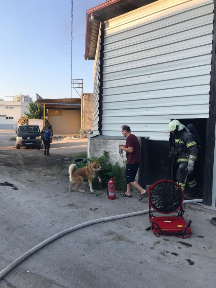 Yanan İş Yerinde Mahsur Kalan Köpek Kepenkler Kesilerek Kurtarıldı