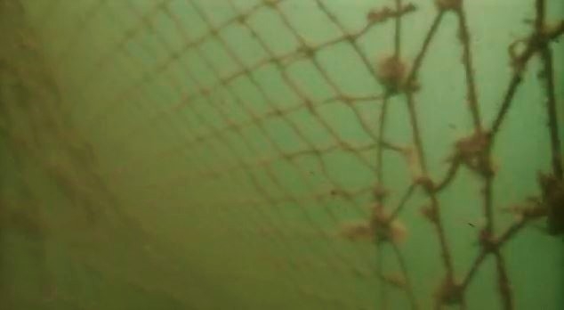 Marmara Denizi’nin Dibinde Gizlenmiş Halde Bulundu