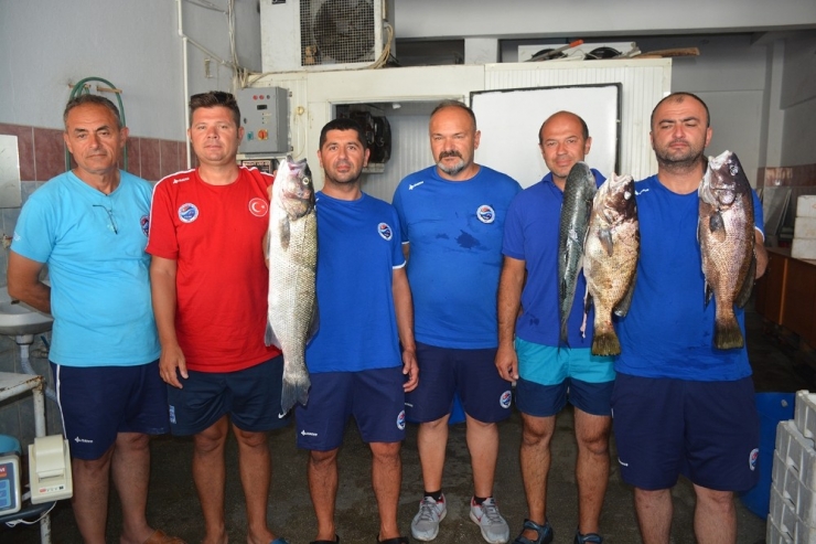 Tssf Milli Takım Aday Kampı Sinop’ta Devam Ediyor