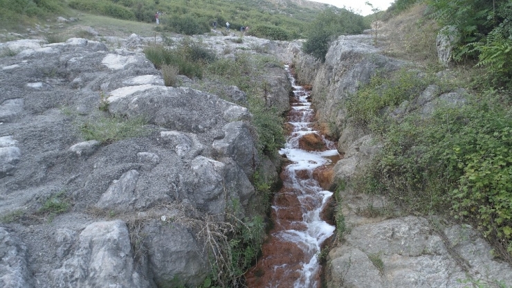 Yüzlerce Fabrikanın Bulunduğu İlçede Renk Değiştiren Dere Paniğe Neden Oldu