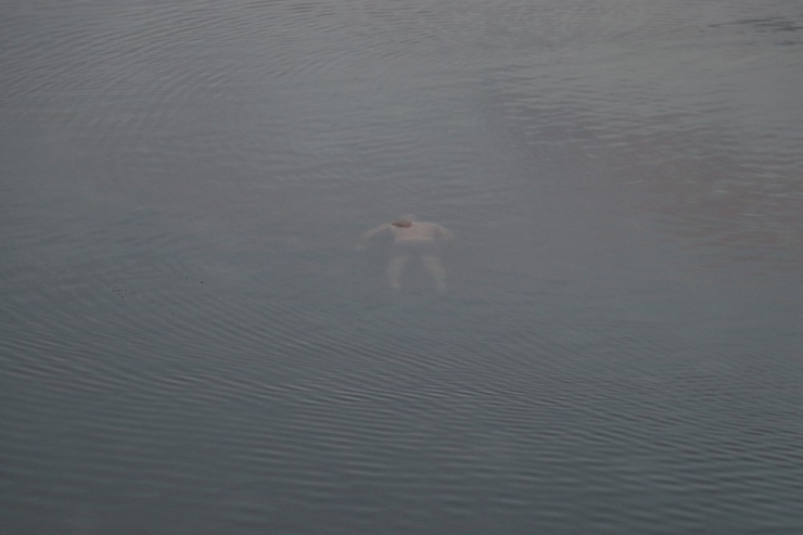 Uyuşturucu Bağımlısı Gencin Cesedi Bulundu