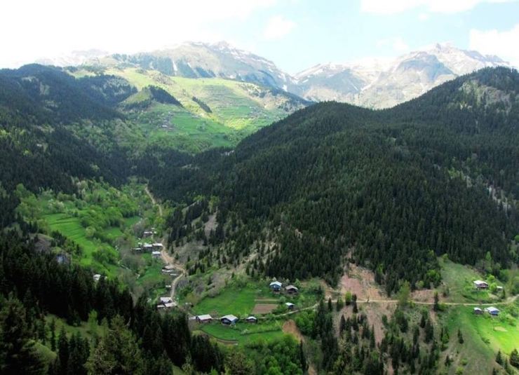 Mahkeme Şavşat’taki Taş Ocağına "Dur" Dedi