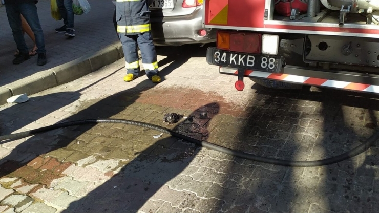 İtfaiye Aracından Damlayan Su İle Serinleyen Sevimli Güvercin İlgi Odağı Oldu