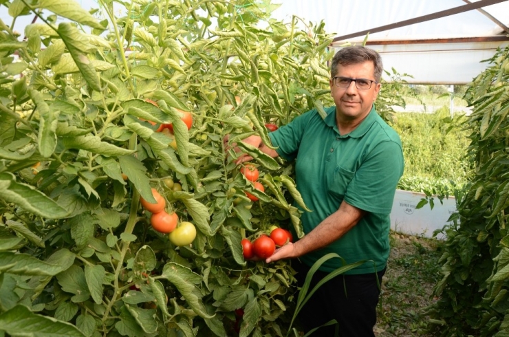 Kırkağaç’ta Seracılığa İlgi Artıyor