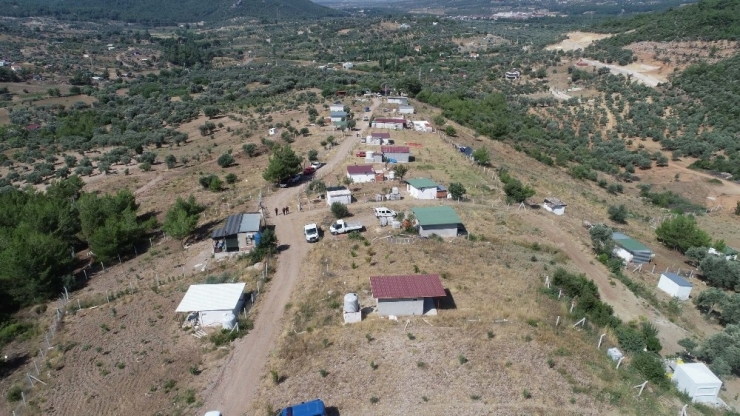 Fırsatçılar 40 Dönümü Yok Etti