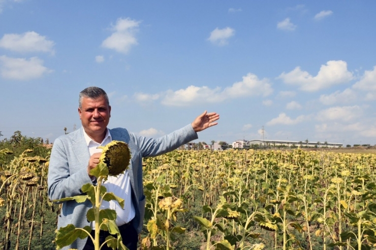 Chp’li Barut: "Üreticiye Destek Verecek Tarımsal Politikalar Üzerinde Uzlaşalım"