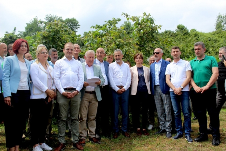 Chp’lilerden Ortak ‘Fındık’ Açıklaması