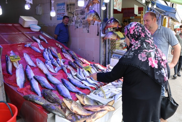Balıkçılarda Sazan Bolluğu