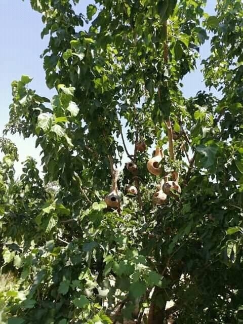 Duyarlı Vatandaştan Örnek Davranış