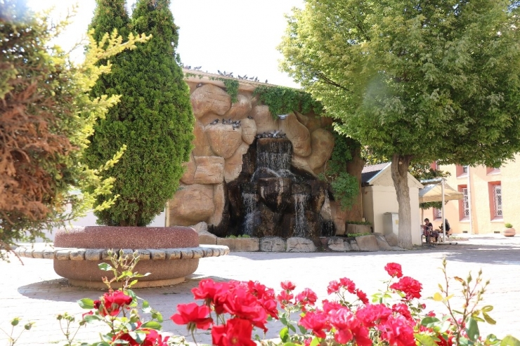 Sıcaklıkların Bunalttığı Kuşlar Su Kenarlarına Akın Ediyor