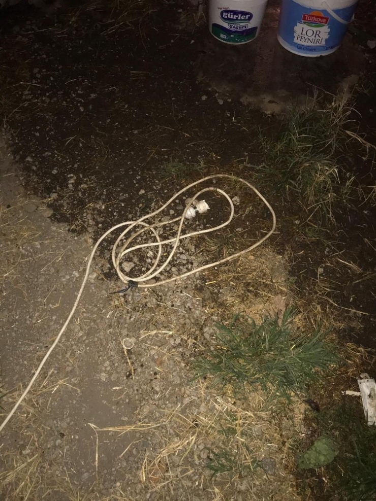 İneği Ölümden Kurtaran Veteriner Hekim Hayatını Kaybetti