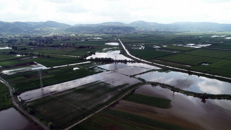 Serdivan’da Bin 735 Dekar Tarım Alanı Selden Zarar Gördü