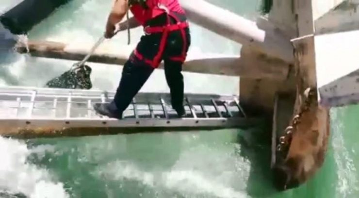 Sulama Kanalına Düşen Köpek Kurtarıldı