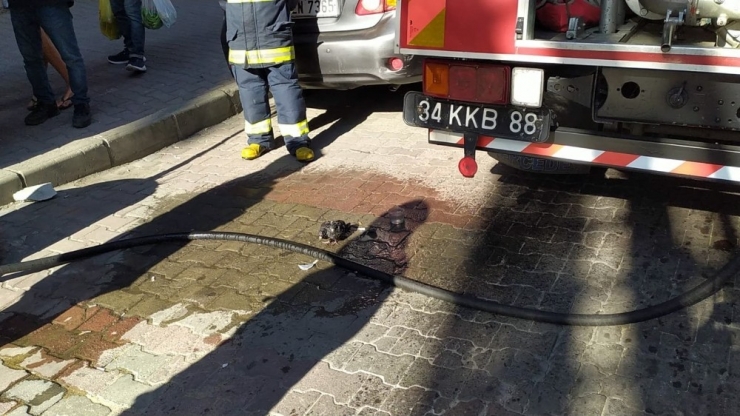 Taksim’de Sıcaktan Bunalan Güvercine Belediye İşçisinden Yardım Eli