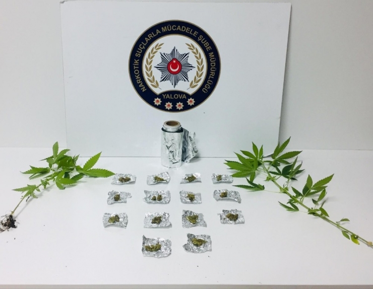 Yalova’da Uyuşturucu Operasyonu