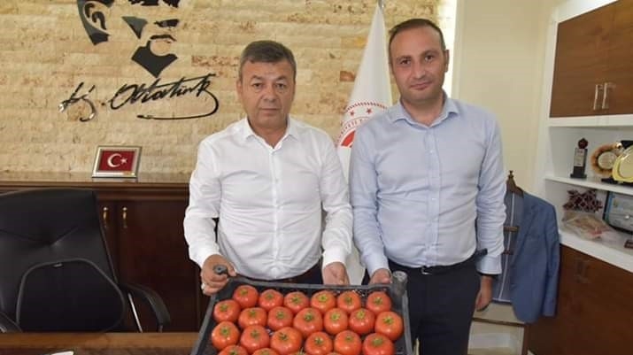 "Gelin Kardeş Olalım" Projesi