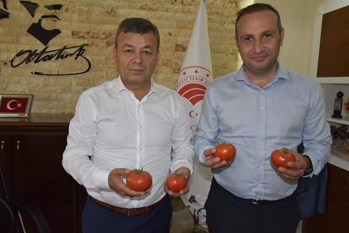 "Gelin Kardeş Olalım" Projesi