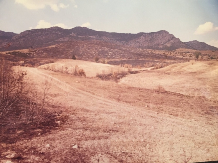 Elmalı’da 20 Yıl Önce Yanan Orman Yeniden Canlandı