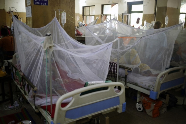 Honduras’ta 54 Kişi Dang Hummasından Öldü