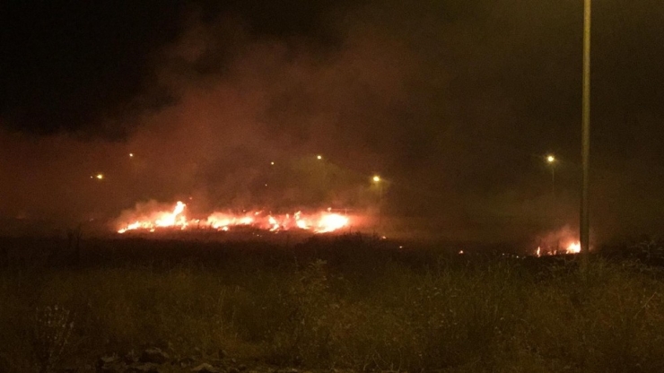 Bingöl’de 100 Dönüm Alan Yandı, Müdahaleye Toma Da Katıldı