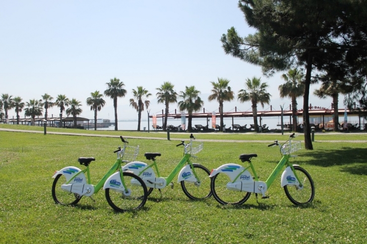 Kobis, 100 Bin Üyeye Ulaştı