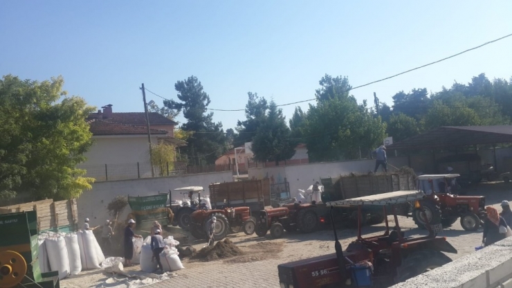 Buldan’da Kekik Üreticisinin Yüzünü Güldürdü