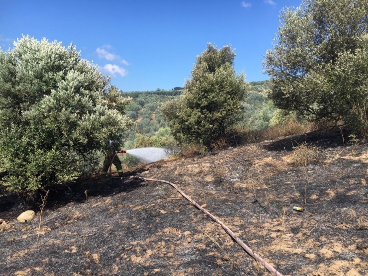 Erdek’te 2.5 Dönüm Arazi Yandı