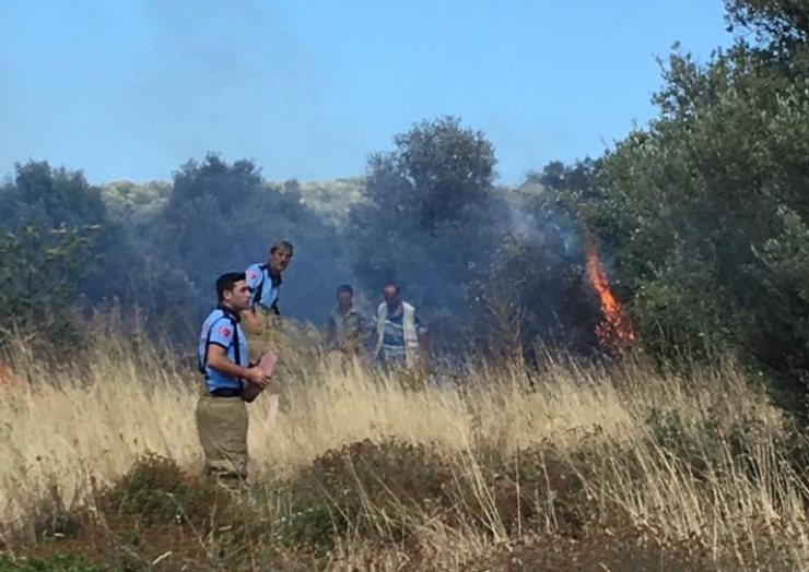 Erdek’te 2.5 Dönüm Arazi Yandı