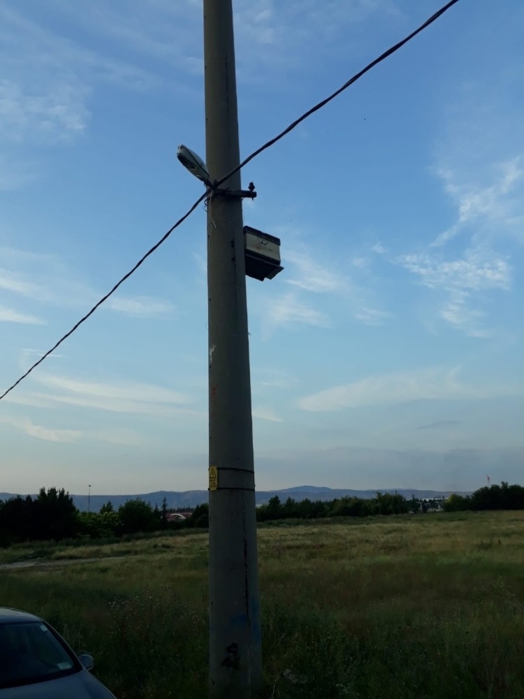 Elektrik Direğine Sabitlenen Arı Kovanı