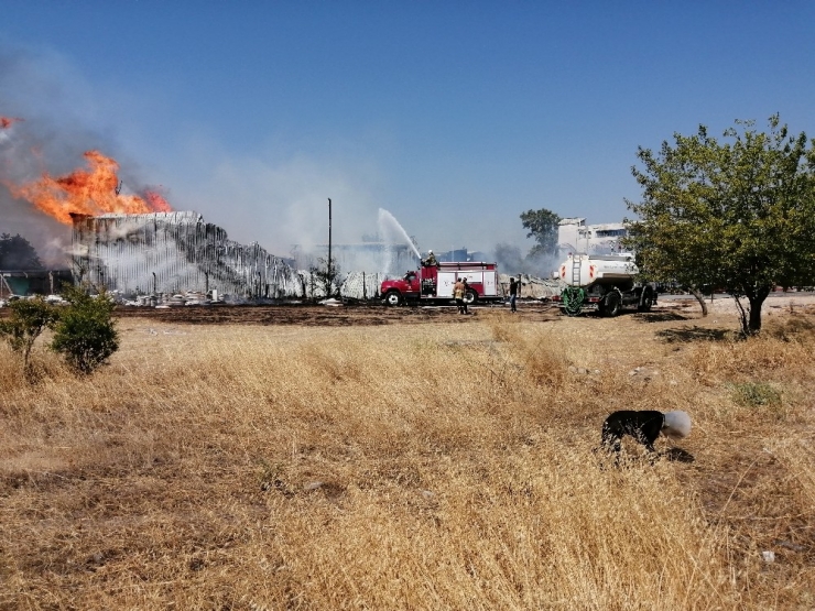 Fabrika Yangınında Hayvanlar Da Tahliye Edildi