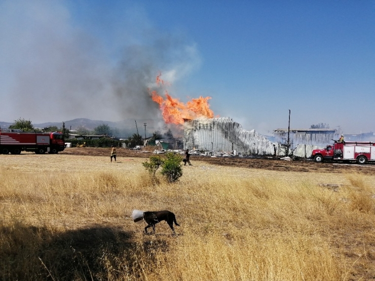 Fabrika Yangınında Hayvanlar Da Tahliye Edildi