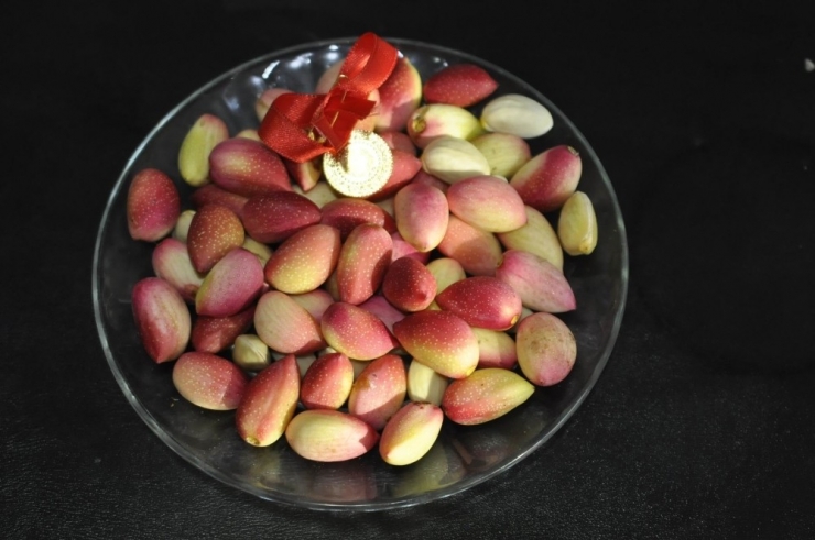 Fıstıkta İlk Hasada Çeyrek Altın Ödülü