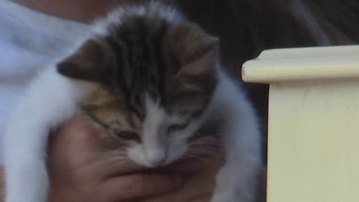 Eşyalarla Tehlikeli Yolculuk