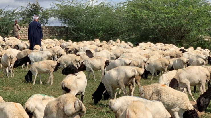 İddef’ten ‘Bayrama Hazırız’ Mesajı