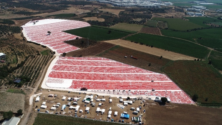 İzmir Ovaları Kırmızıya Büründü