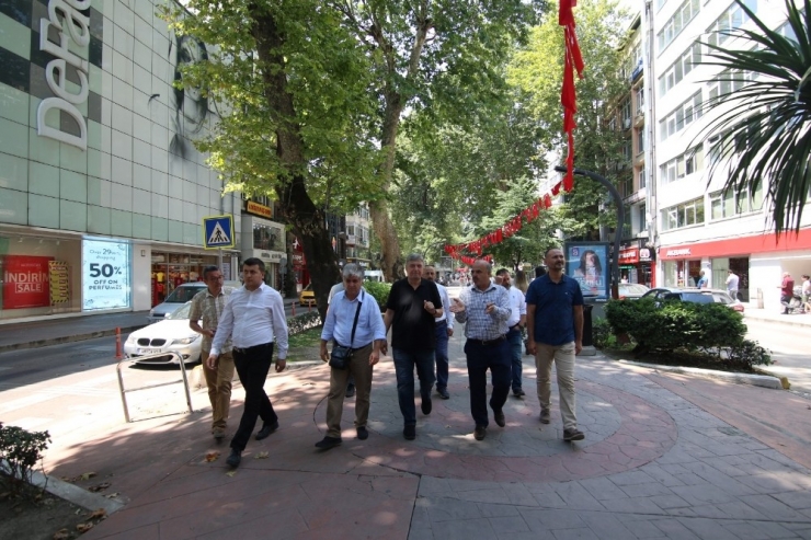 İzmit’teki Tarihi Çınar Ağaçlarını Kurtarmak İçin Akademisyenler Harekete Geçti