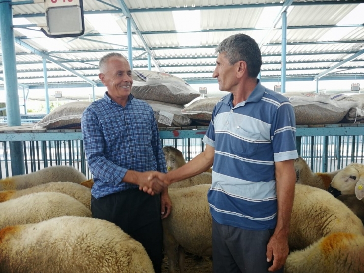 Hayvan Pazarında Bayram Hazırlıkları Başladı